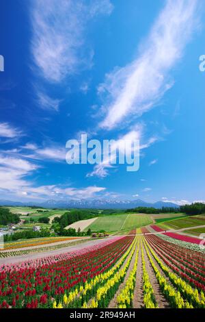 Shikisainooka Hill und Tokachidakerenpo Mountain Range Stockfoto