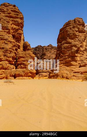 Steinwald. Ein Sandstein Felsformationen und Klippen in erstaunlichen Formen. Tadrart-Berge. Tassili N'Ajjer Nationalpark. Alger Stockfoto