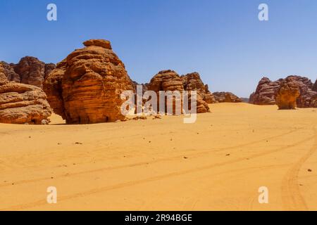 Steinwald. Ein Sandstein Felsformationen und Klippen in erstaunlichen Formen. Tadrart-Berge. Tassili N'Ajjer Nationalpark. Algerien Stockfoto