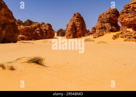 Steinwald. Ein Sandstein Felsformationen und Klippen in erstaunlichen Formen. Tadrart-Berge. Hochebene der Flüsse, Tassili N'Ajjer Nationalpark. Alger Stockfoto