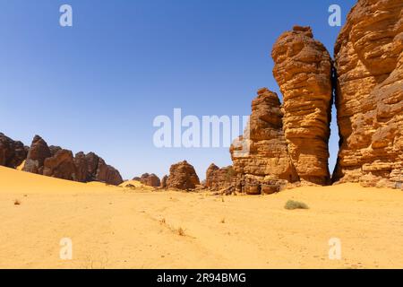 Steinwald. Ein Sandstein Felsformationen und Klippen in erstaunlichen Formen. Tadrart-Berge. Hochebene der Flüsse, Tassili N'Ajjer Nationalpark. Alger Stockfoto