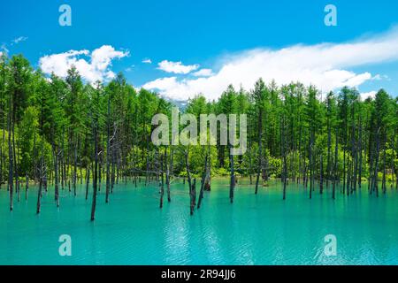 Aoike und Tokachi Gebirgskette Stockfoto