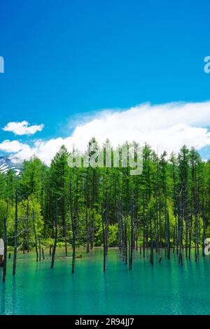 Aoike und Tokachi Gebirgskette Stockfoto