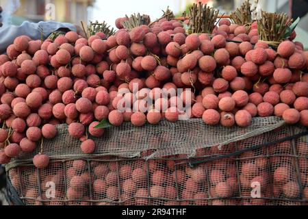 Litschi-Bäume und Litschi-Erntezeit in der Provinz Bac Giang, Vietnam. 열대 과일, トロピカルフルーツ, 热带水果, tropische Früchte, गर्म फल Stockfoto