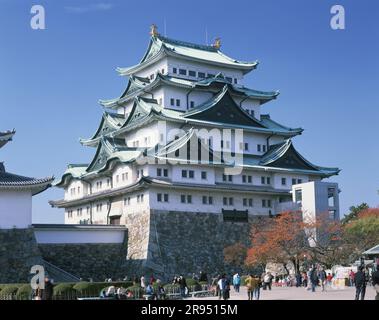 Schloss Nagoya im Herbst Stockfoto