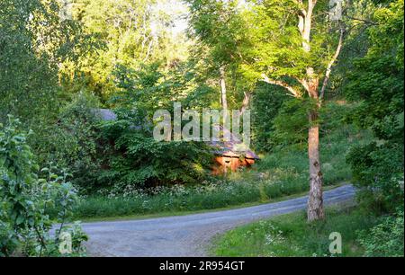 Landschaft mit verschiedenen Arten von Laubbäumen und einer alten Heuscheune Stockfoto