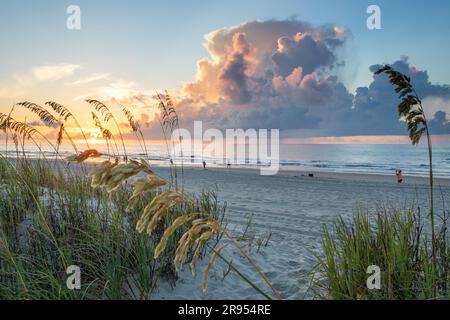 Surfside Beach, Horry County, South Carolina, USA Stockfoto