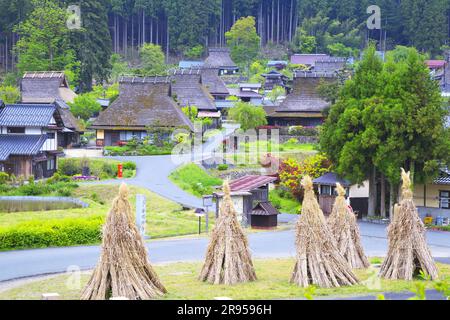 Das Dorf Miyama mit Strohdach Stockfoto