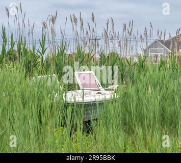 Ein kleines Außenbordmotorboot, das in hohem Gras zurückgelassen wurde Stockfoto