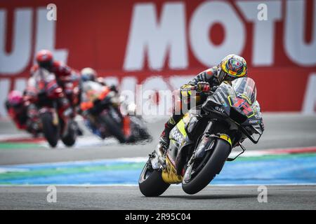 ASSEN – Marco Bezzecchi (ITA) über seine Ducati in Aktion während des MotoGP-Sprint-Rennens am 24. Juni 2023 auf der TT-Rennstrecke in Assen, Niederlande. ANP VINCENT JANNINK Stockfoto
