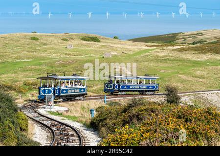 Straßenbahnen auf der Great Orme Tramway, mit Windpark im Hintergrund, Llandudno, Nordwales, Großbritannien. Stockfoto