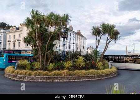 Busse fahren um den Blumenkreisverkehr im Zentrum des viktorianischen Badeorts Llandudno, North Wales, Großbritannien. Stockfoto