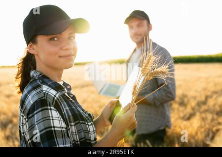 Ein paar Bauern untersuchen das Getreidefeld Stockfoto