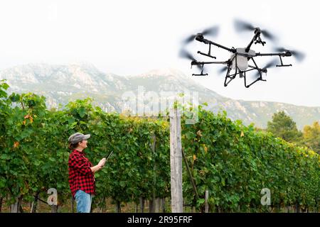 Landwirtin steuert Drohnensprühgerät mit einem Tablet. Intelligente Landwirtschaft und Präzisionslandwirtschaft. Stockfoto