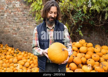 Bärtiger Bauer mit Kürbis auf einem Haufen Kürbisse Stockfoto