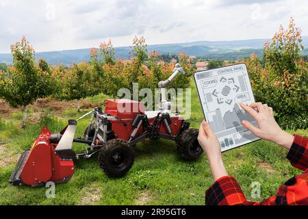 Der Bauer steuert den autonomen Roboter in einem Obstgarten. Konzept der intelligenten Landwirtschaft. Stockfoto