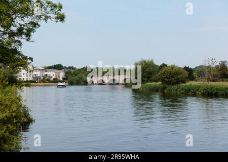 ChertSEY trifft sich mit Chertsey Bridge in der Ferne, Chertsey, Themse, Runnymede Borough Council, Surrey, England, Vereinigtes Königreich Stockfoto