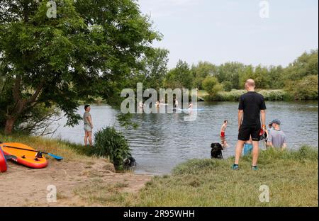 Chertsey Meads, Chertsey, River Thames, Runnymede Borough Council, Surrey, England, Vereinigtes Königreich Stockfoto