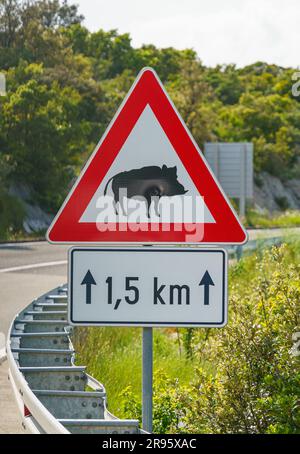 Verkehrsunfall auf dem Hintergrund eines Schildes - achten Sie auf Wildschweine, die die Straße überqueren Stockfoto