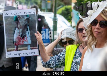 Ascot, Großbritannien. 24. Juni 2023. Ein Tierrechtler protestiert vor der Rennbahn in Ascot, während Rennfahrer am fünften Tag des Royal Ascot eintreffen. Zwischen 2012 und 2022 starben in Ascot 28 Pferde bei Sprüngen und Flachrennen. Kredit: Mark Kerrison/Alamy Live News Stockfoto