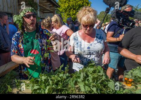 Bridport, Dorset. 24. Juni 2023 World Nettle Eating Contest. Auf der Dorset Nectar Cider Farm, Bridport, Dorset. Kredit: Steve Davey/Alamy Live News Stockfoto