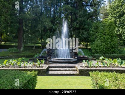 Der Putti-Brunnen im Garten der Villa Taranto, Verbania, Piemont, Italien, 19. Jahrhundert. Stockfoto