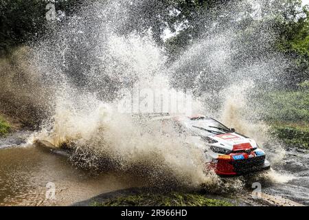 69 Kalle ROVANPERA (FIN), Jonne HALTTUNEN (FIN), TOYOTA GAZOO RACING WRT, TOYOTA Yaris Rally1 Hybrid, WRC, Action während der Safari Rally Kenya 2023, 7. Runde der WRC World Rally Car Championship 2023, vom 22. Bis 25. Juni 2023 in Naivasha, Nakuru County, Kenia Stockfoto