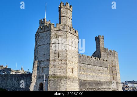 Caernarfon Castle in Nordwales an einem sonnigen Tag Stockfoto