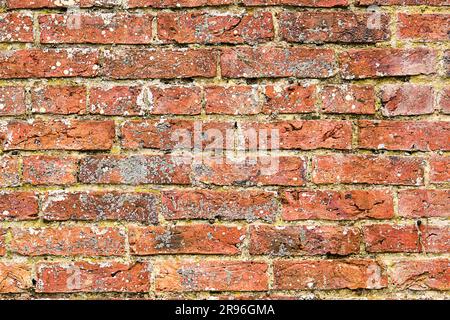 Alte rote Backsteinmauer mit etwas Schimmel Stockfoto