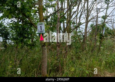 Cirencester, England, Samstag, 24. Juni 2023. 1 KM von der Cotswold Way Ultra Challenge; eine Wanderung und Laufveranstaltung bis ZU 100km KM durch die Cotswolds. Kredit: Lu Parrott / Alamy Live News Stockfoto