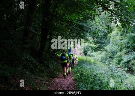 Cirencester, England, Samstag, 24. Juni 2023. Die Teilnehmer gehen auf der Cotswold Way Ultra Challenge, einem Walking-and-Running-Event bis ZU 100km KM durch die Cotswolds. Kredit: Lu Parrott / Alamy Live News Stockfoto