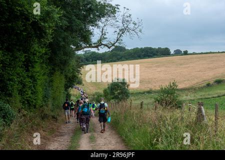 Cirencester, England, Samstag, 24. Juni 2023. Die Wettkämpfer laufen auf der Cotswold Way Ultra Challenge; ein Walking-and-Running-Event bis ZU 100km KM durch die Cotswolds. Kredit: Lu Parrott / Alamy Live News Stockfoto