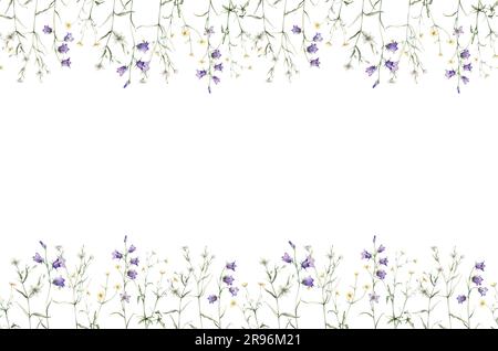 Nahtloser Wiesenrand, Waldblumen. Campanula patula, kleine Glocke, Bluebell, rapunzel. Rabelera Holostea, stellaria. Watercolor Handmalerei Stockfoto