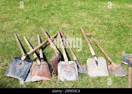 Viele Schaufeln und Bajonettschaufeln, Haushaltsgeräte zum Reinigen, Raumordnung, Graben der Erde liegen auf grünem Gras Stockfoto