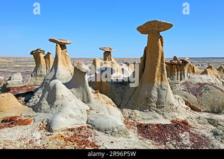 Hoodoos, Ah-Shi-sle-pah Wilderness, San Juan Bassin, New Mexico, USA Stockfoto