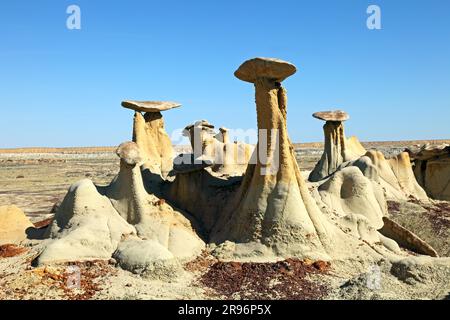 Hoodoos in der Ah-shi-sle-pah Wilderness, San Juan Basin, New Mexico, USA Stockfoto