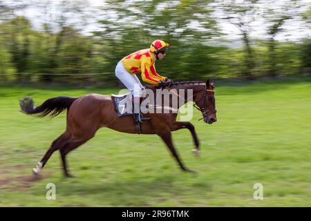 GODSTONE, Surrey/UK - 2. Mai: Point Racing bei Godstone Surrey am 2. Mai 2009 zu zeigen. Unbekannter Mann Stockfoto