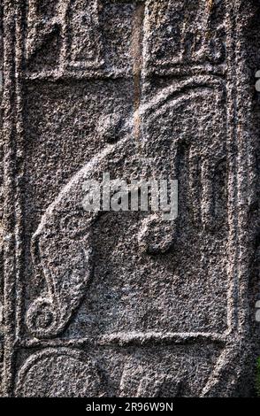 Der Jungfrauenstein. Pictish 9. C. Christian Cross Slab. East Face Panel mit Pictish Beast Motiv. Kapelle Garioch, Grampian Region, Schottland Stockfoto