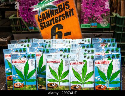 Cannabis-Starter-Kits und Saatgut zum Verkauf in Amsterdam. Stockfoto