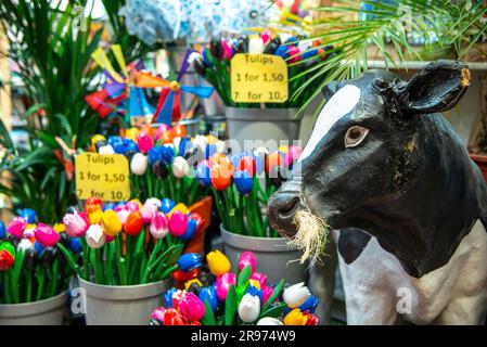 Holztulpen zum Verkauf auf dem Blumenmarkt oder Bloemenmarkt in Amsterdam. Stockfoto