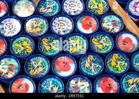 Kits für kleine tropische Pflanzen zum Verkauf auf dem Blumenmarkt oder Bloemenmarkt in Amsterdam. Stockfoto