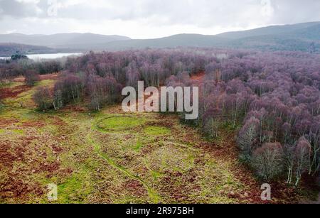 New Kinord prähistorische Siedlung aus der Eisenzeit, Wohnkreise, Anlagen 2000 bis 2500 Jahre alt. Wir suchen N.W. nach Loch Davan, Grampian, Schottland Stockfoto