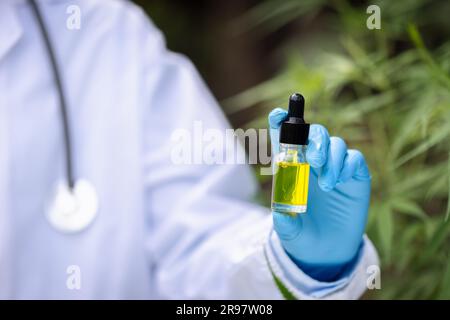 Hanföl in eine Glasflasche tropfen lassen. CBD-Öl. Cannabis. Alternative medizinische Konzepte. Wissenschaftliche Forschung. Medizinische Ausbildung und Forschung. Stockfoto