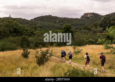 Bits and Bobs of Australia Stockfoto