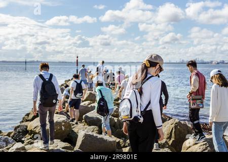 Bits and Bobs of Australia Stockfoto