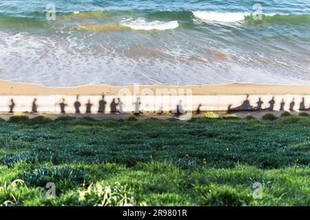 Bits and Bobs of Australia Stockfoto