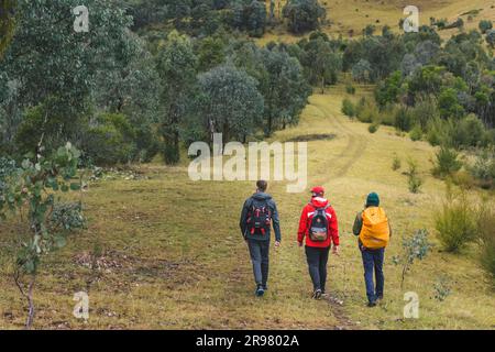 Bits and Bobs of Australia Stockfoto