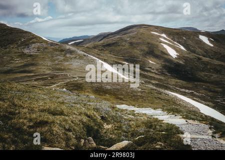 Bits and Bobs of Australia Stockfoto