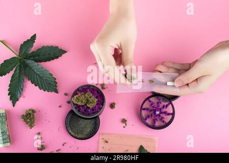 Weibliche Hände drehen ein Gelenk aus trockenen Knospen von medizinischem Marihuana auf rosa Hintergrund. Grüne Cannabisblätter liegen in der Nähe und die Mühle wird geöffnet, pi Stockfoto