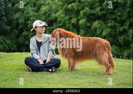 Der Golden Retriever-Hund sitzt mit dem Besitzer auf dem Gras Stockfoto